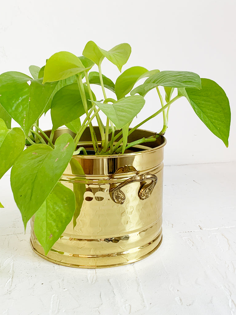 Round Pebbled Brass Planter with Small Handles