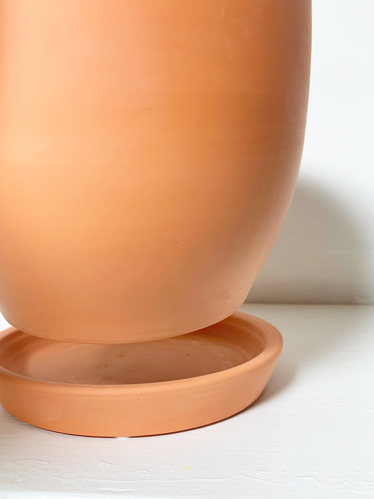 Baden Terracotta Pot at The Shudio
